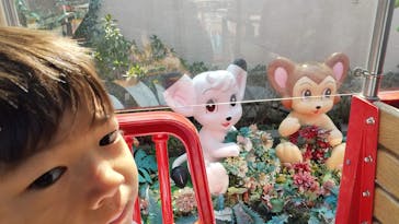 西武園ゆうえんちに投稿された画像（2024/3/10）