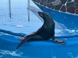 大分マリーンパレス水族館 「うみたまご」に投稿された画像（2024/3/10）