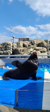 大分マリーンパレス水族館 「うみたまご」に投稿された画像（2024/3/10）