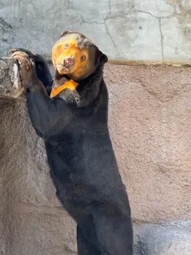 天王寺動物園に投稿された画像（2024/3/10）