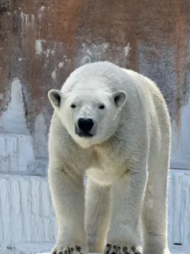 天王寺動物園に投稿された画像（2024/3/10）