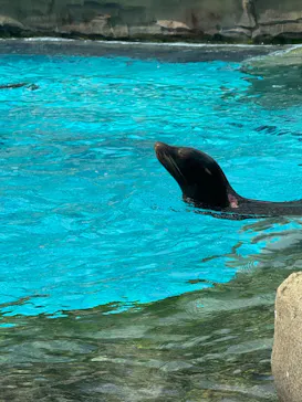 天王寺動物園に投稿された画像（2024/3/10）