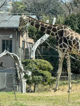 天王寺動物園に投稿された画像（2024/3/10）