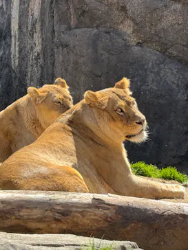 天王寺動物園に投稿された画像（2024/3/10）