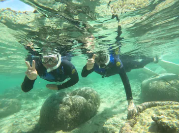 武藤潜水に投稿された画像（2024/3/10）