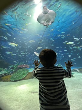 サンシャイン水族館に投稿された画像（2024/3/10）