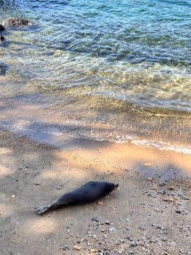 伊豆・三津シーパラダイスに投稿された画像（2024/3/10）