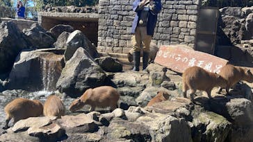 伊豆シャボテン動物公園に投稿された画像（2024/3/10）