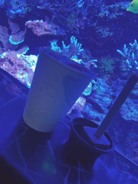 マクセル アクアパーク品川に投稿された画像（2024/3/10）