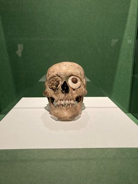 特別展「古代メキシコ ーマヤ、アステカ、テオティワカン」に投稿された画像（2024/3/10）