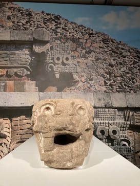 特別展「古代メキシコ ーマヤ、アステカ、テオティワカン」に投稿された画像（2024/3/10）