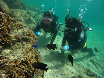 武藤潜水に投稿された画像（2024/3/10）