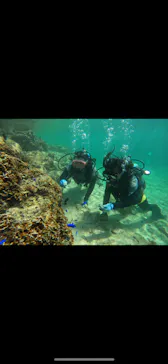 武藤潜水に投稿された画像（2024/3/10）