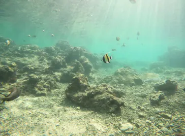 武藤潜水に投稿された画像（2024/3/10）