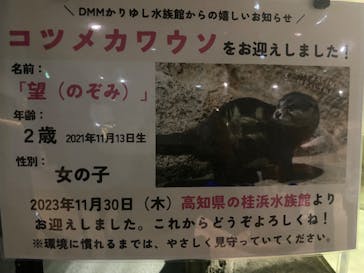 DMMかりゆし水族館に投稿された画像（2024/3/10）