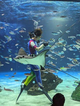 サンシャイン水族館に投稿された画像（2024/3/10）