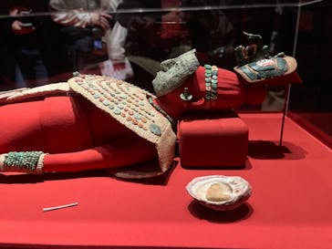 特別展「古代メキシコ ーマヤ、アステカ、テオティワカン」に投稿された画像（2024/3/10）