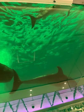 マリンワールド海の中道に投稿された画像（2024/3/10）