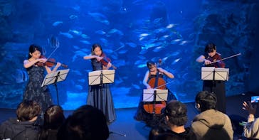 京都水族館に投稿された画像（2024/3/10）