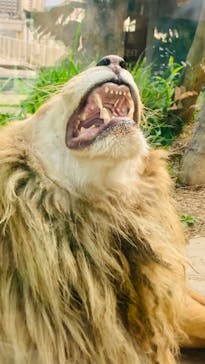 沖縄こどもの国に投稿された画像（2024/3/10）