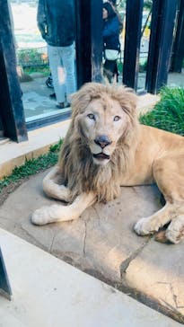 沖縄こどもの国に投稿された画像（2024/3/10）