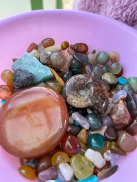 Discovery Worldに投稿された画像（2024/3/10）