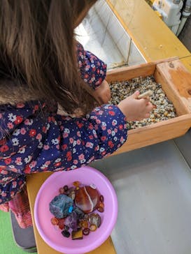 Discovery Worldに投稿された画像（2024/3/10）