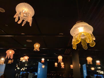 京都水族館に投稿された画像（2024/3/10）