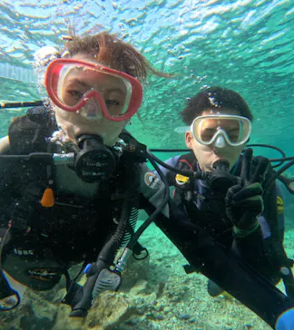 武藤潜水に投稿された画像（2024/3/10）