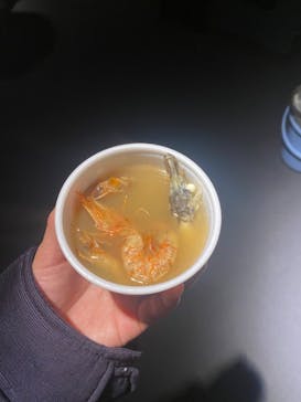 サンシャイン水族館に投稿された画像（2024/3/10）