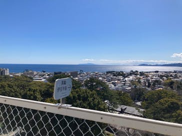 小田原城に投稿された画像（2024/3/10）