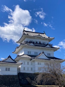 小田原城に投稿された画像（2024/3/10）