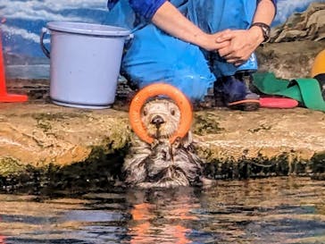 マリンワールド海の中道に投稿された画像（2024/3/10）