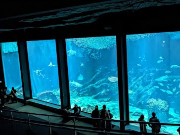 マリンワールド海の中道に投稿された画像（2024/3/10）