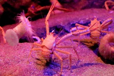 マリンワールド海の中道に投稿された画像（2024/3/10）