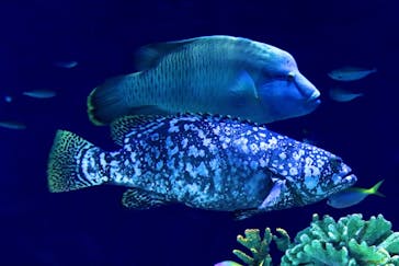 マリンワールド海の中道に投稿された画像（2024/3/10）