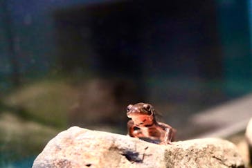 マリンワールド海の中道に投稿された画像（2024/3/10）