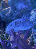 サンシャイン水族館に投稿された画像（2024/3/10）