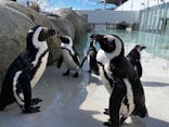 仙台うみの杜水族館に投稿された画像（2024/3/10）