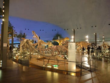 福井県立恐竜博物館に投稿された画像（2024/3/10）