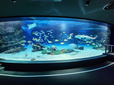 サンシャイン水族館に投稿された画像（2024/3/10）