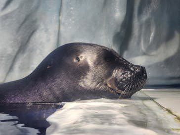 サンシャイン水族館に投稿された画像（2024/3/10）
