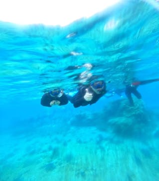 宮古島 ADVENTURE PiPi（ミヤコジマ アドベンチャー ピピ）に投稿された画像（2024/3/10）