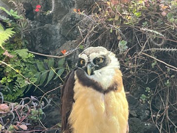伊豆シャボテン動物公園に投稿された画像（2024/3/10）