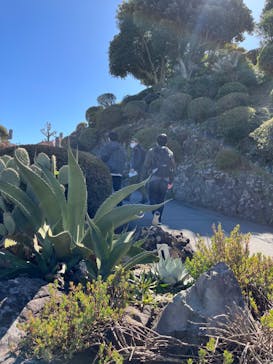 伊豆シャボテン動物公園に投稿された画像（2024/3/10）