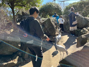 伊豆シャボテン動物公園に投稿された画像（2024/3/10）