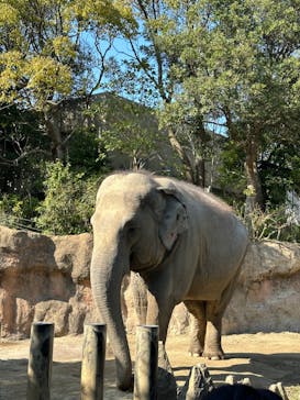 到津の森公園に投稿された画像（2024/3/10）