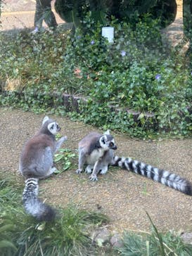 到津の森公園に投稿された画像（2024/3/10）