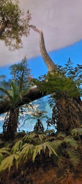 福井県立恐竜博物館に投稿された画像（2024/3/10）