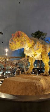 福井県立恐竜博物館に投稿された画像（2024/3/10）